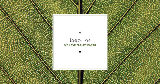 Our Holistic Approach to Sustainable Beauty