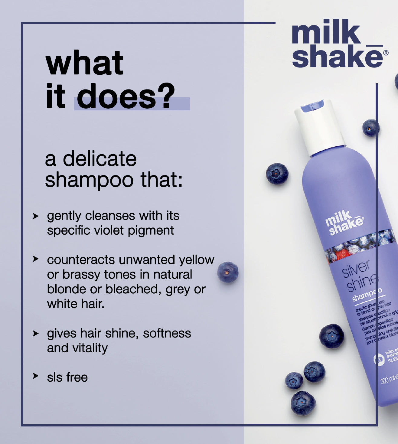 milk_shake silver shine shampoo