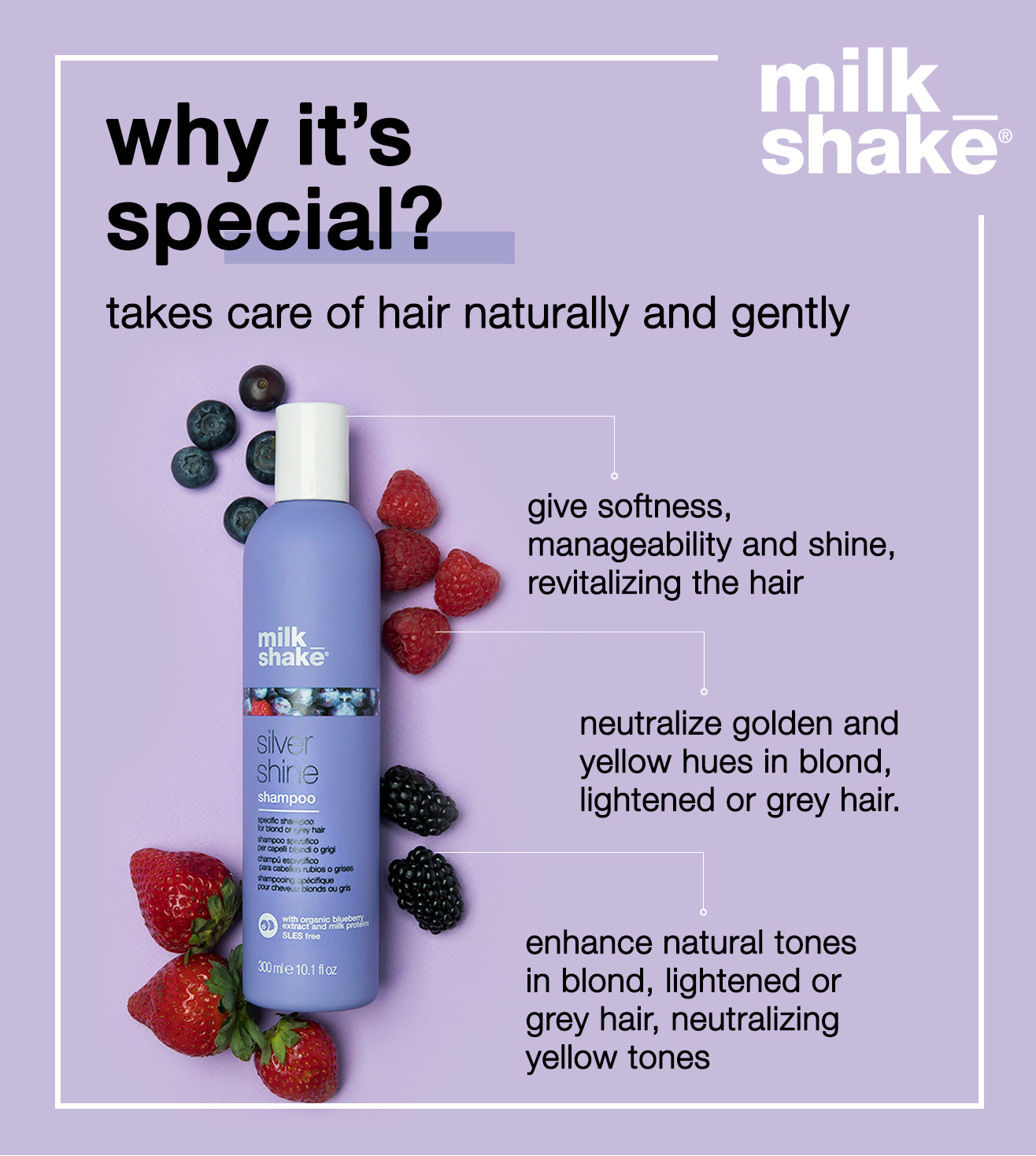 pakke efter det aflivning milk_shake silver shine shampoo – milkshakeindia